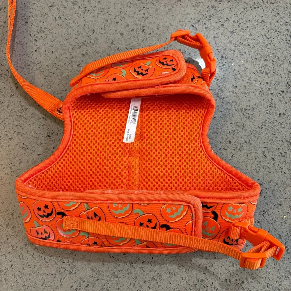 Orange pumpkin Cat Harness with Leash